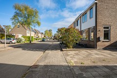 Jarigsmastins 15-05.jpg